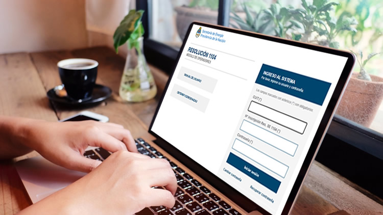 Problemas para cargar los precios en la web de la Secretaría de Energía: ¿Cómo solucionarlos?