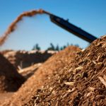 ¿Es posible una ruta de biomasa integrada por Estaciones de Servicio?