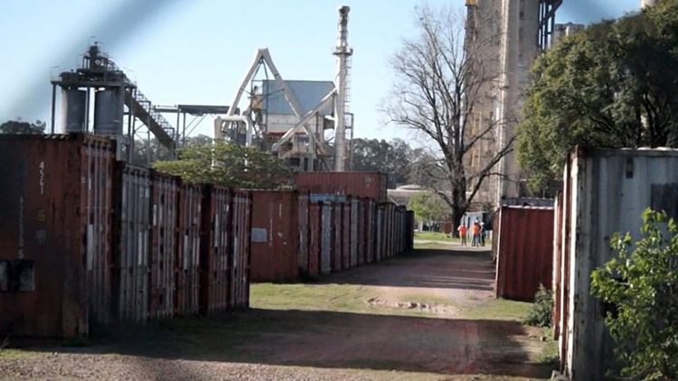 El horno en Planta de Paysandú será subastado en lotes más atractivos