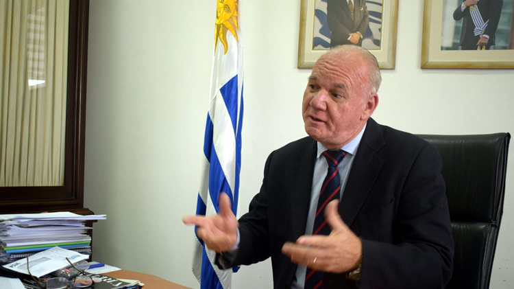 Walter Verri negó que haya una decisión tomada para subastar horno cementero en Paysandú