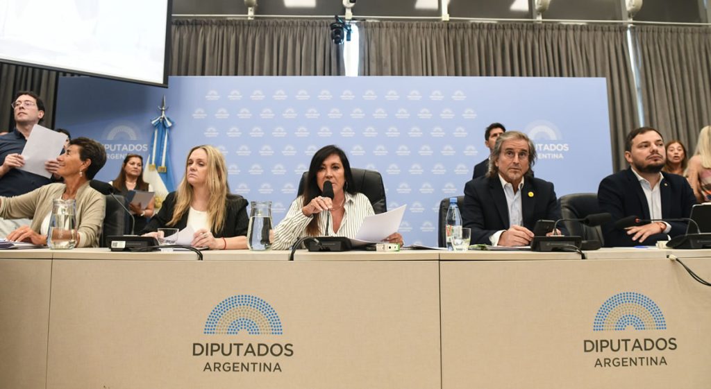 Aumentos de combustibles, información de precios y transición energética: los debates que se vienen en el Congreso