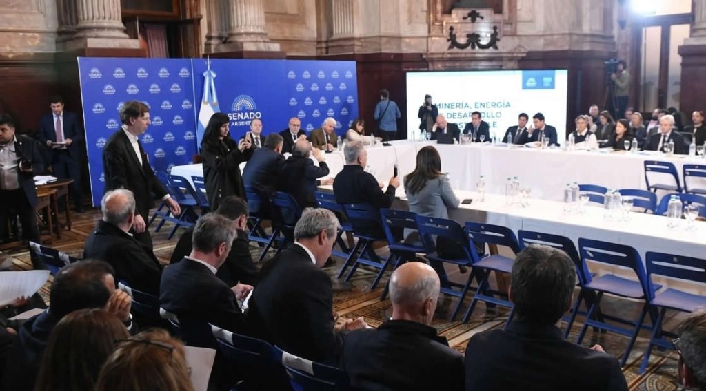 Los surtidores flex asoman como una nueva oportunidad de negocio pero las inversiones correrán por cuenta de cada Estación de Servicio